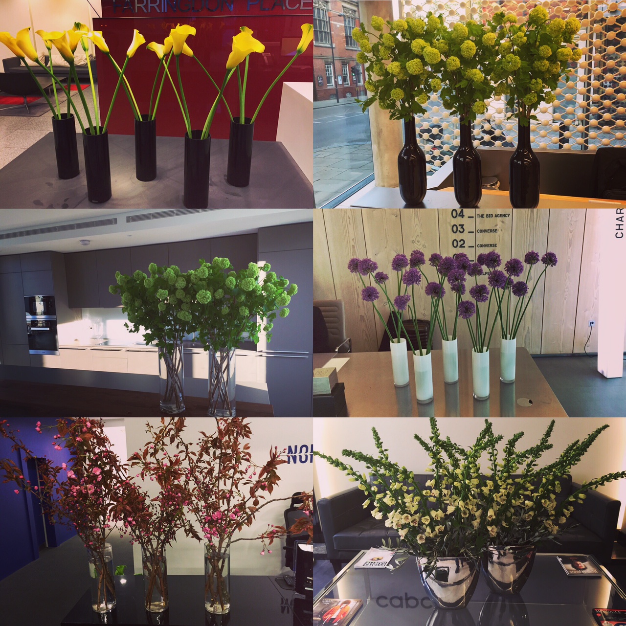 Petal to  the Metal - Weekly office flowers delivered throughout London