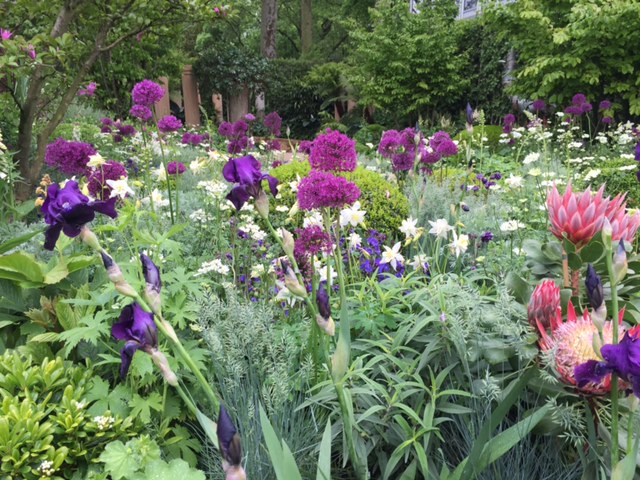 RHS chelsea flower show