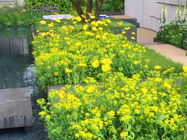 RHS Chelsea Flower Show Telegraph garden London