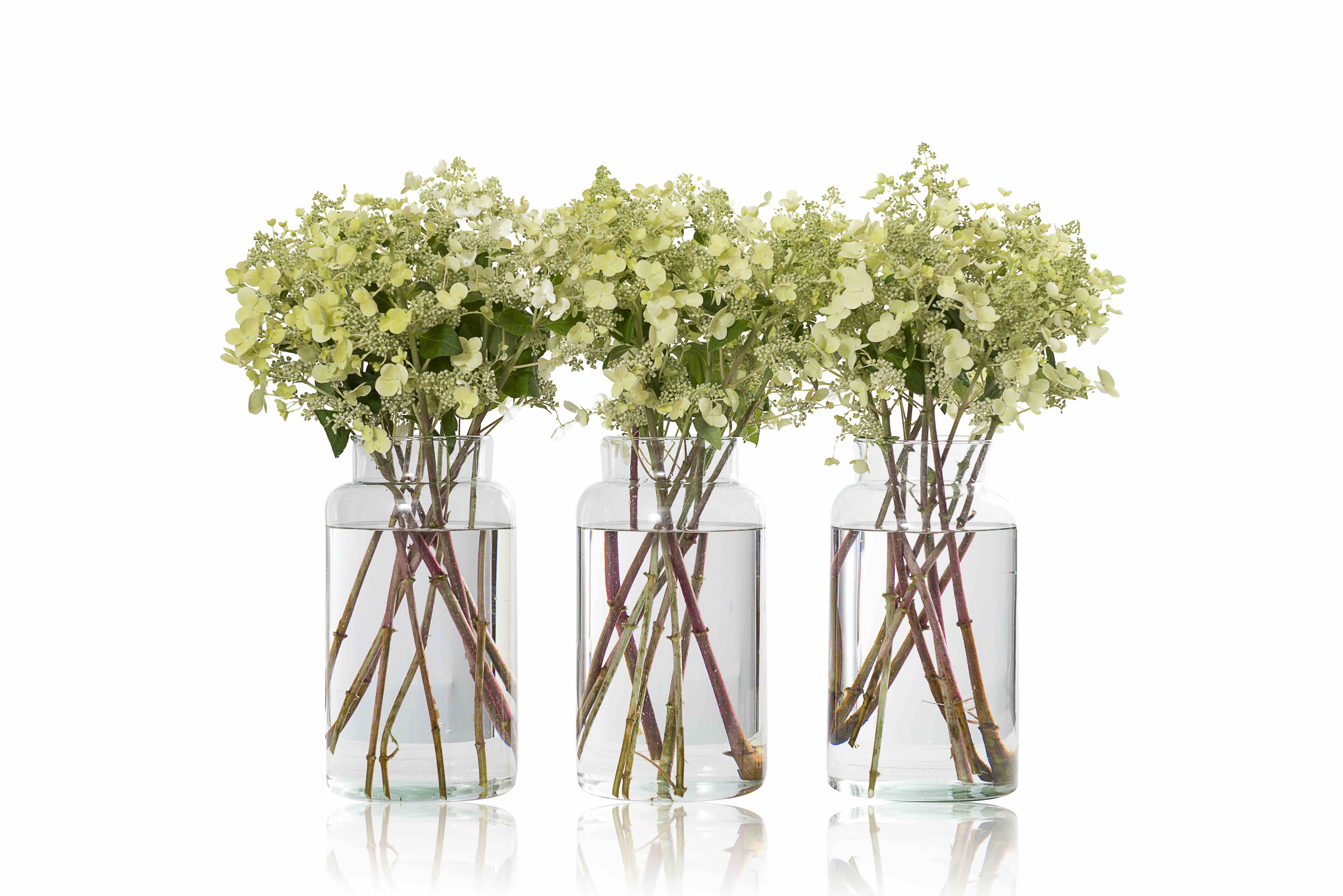 Weekly office flower delivery in London from Petal to the Metal