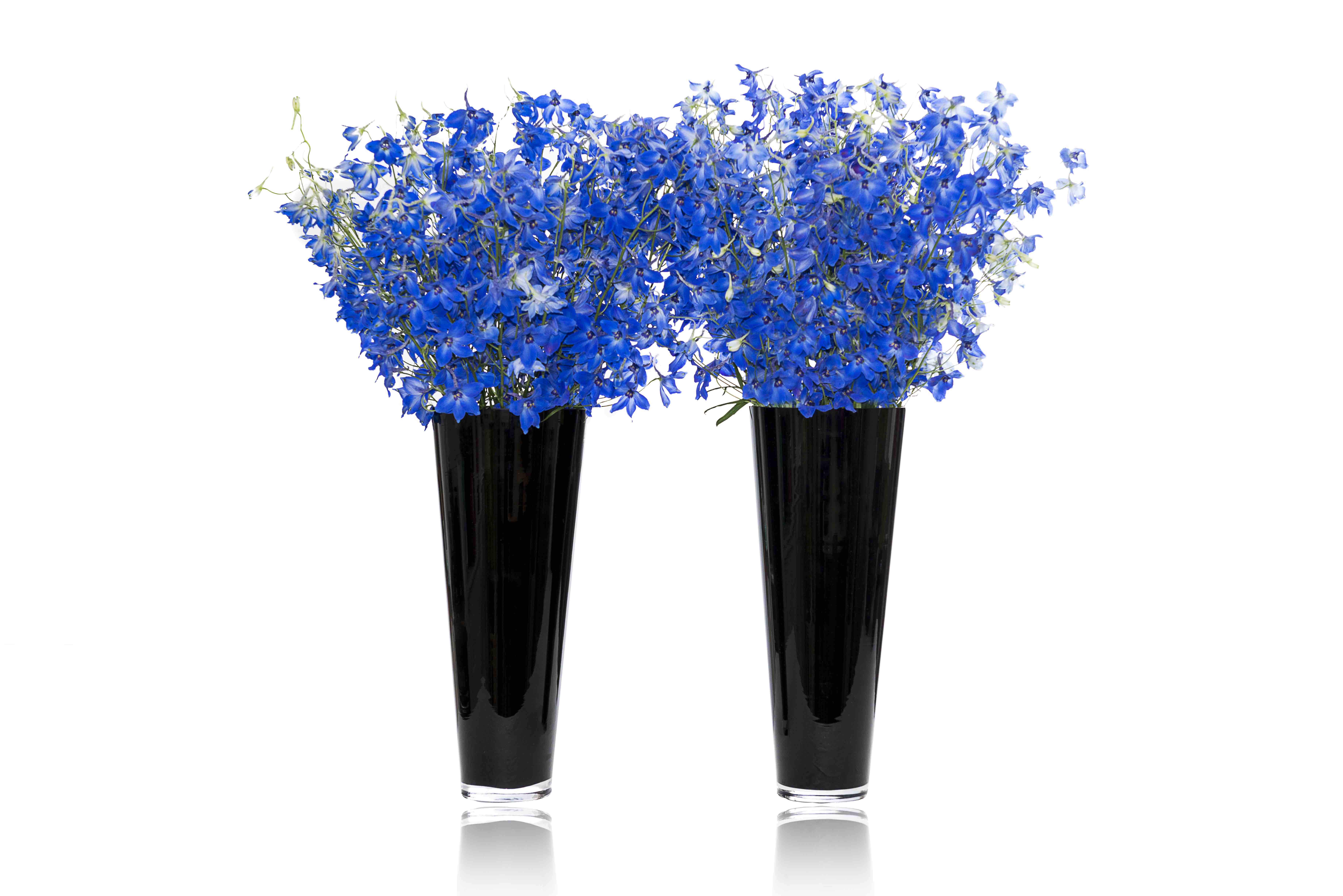 Weekly office flower delivery in London from Petal to the Metal