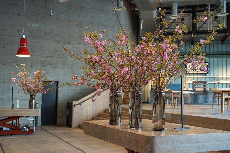 Petal to the Metal Flowers - Cheery Blossom - Derwent Building London