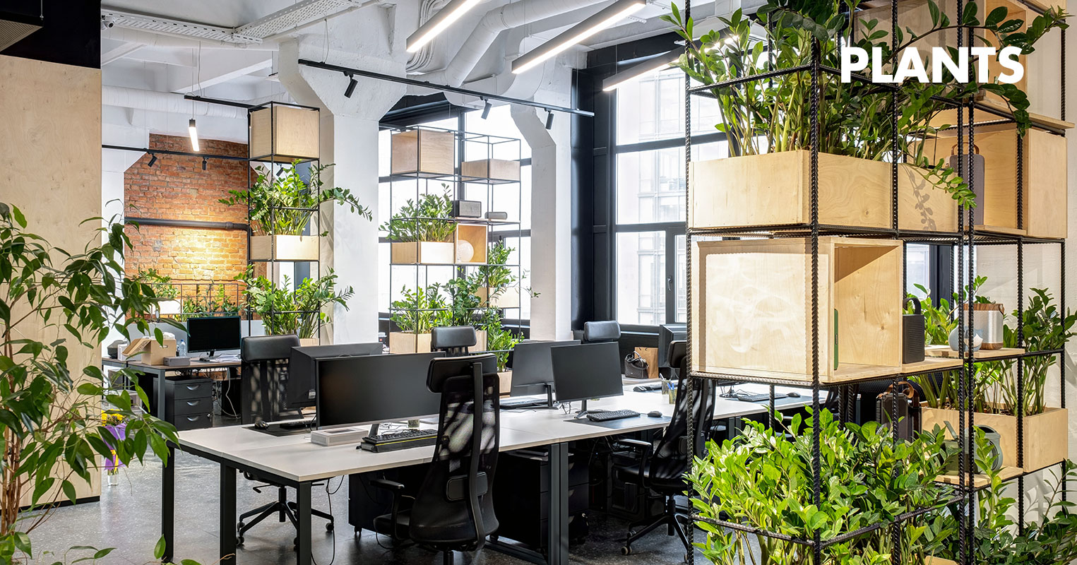 Office Plants London