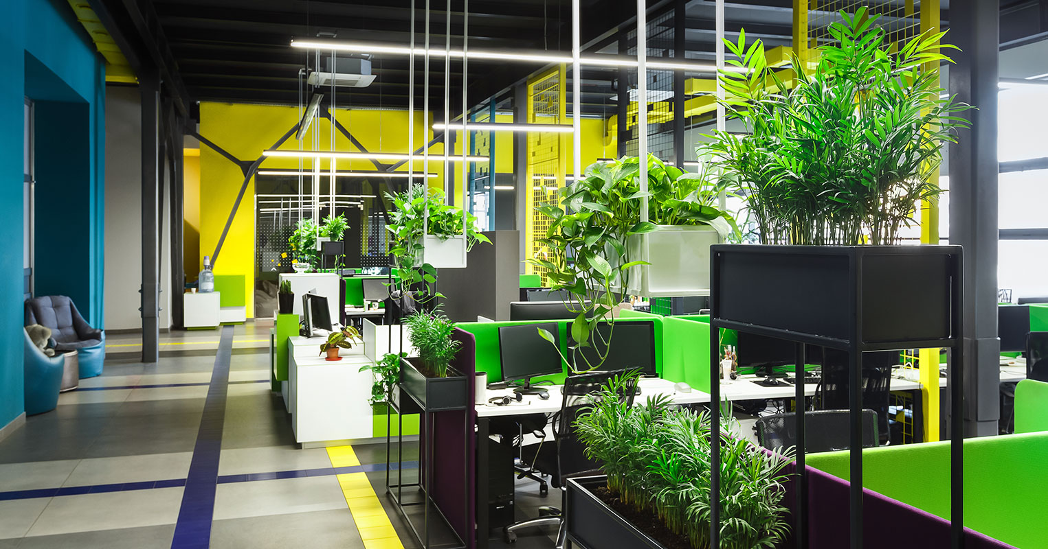 Office Plants London